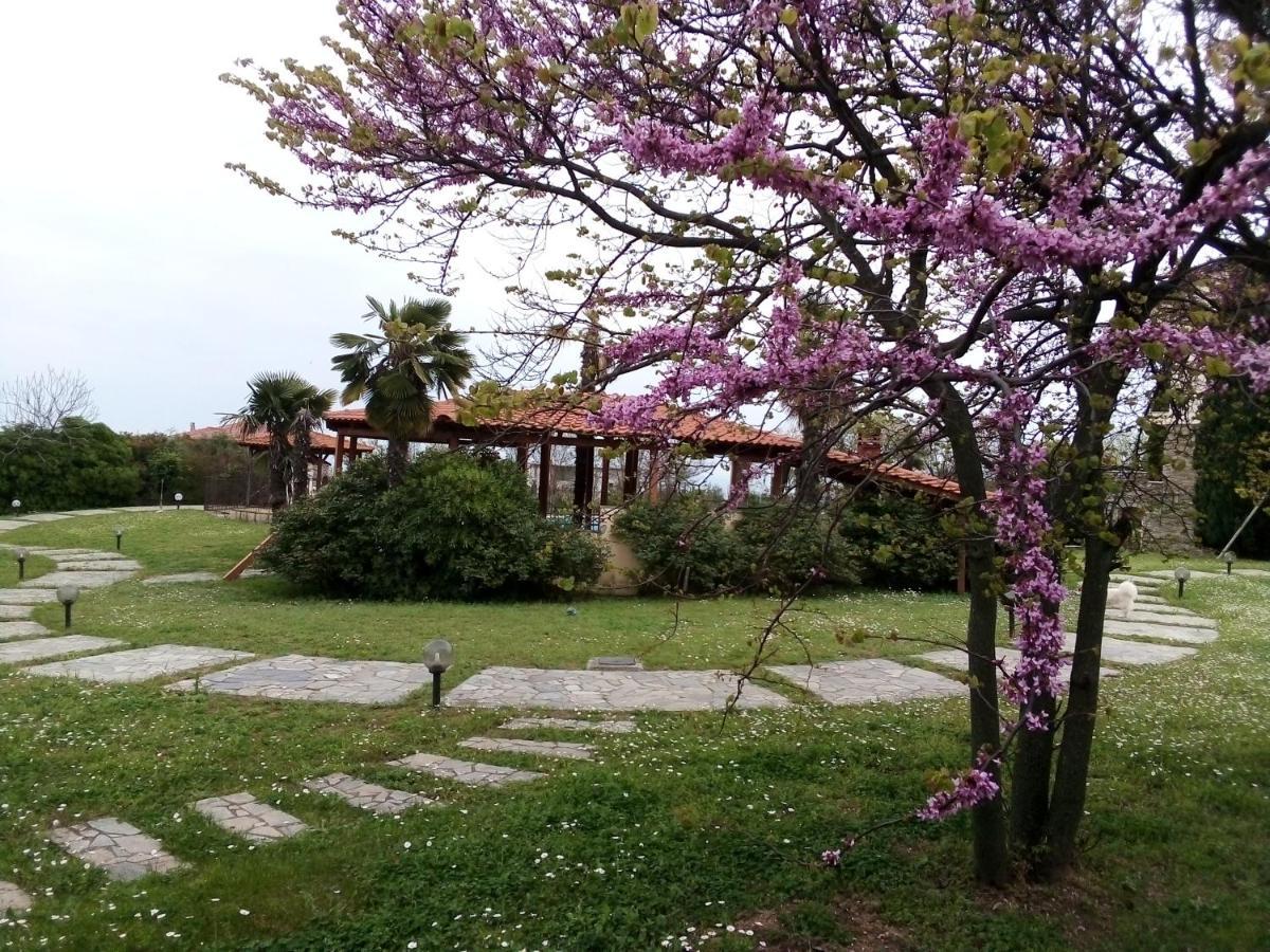 Villa Anna Leptokaria Zewnętrze zdjęcie