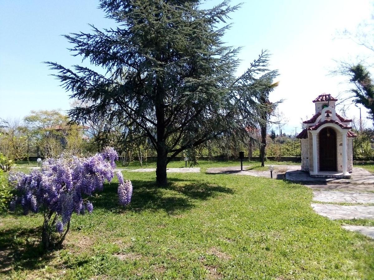 Villa Anna Leptokaria Zewnętrze zdjęcie