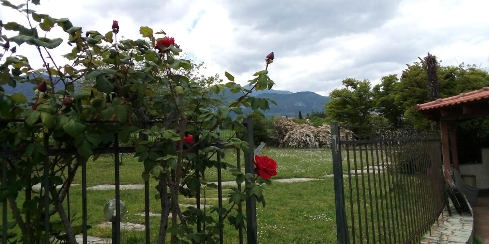 Villa Anna Leptokaria Zewnętrze zdjęcie