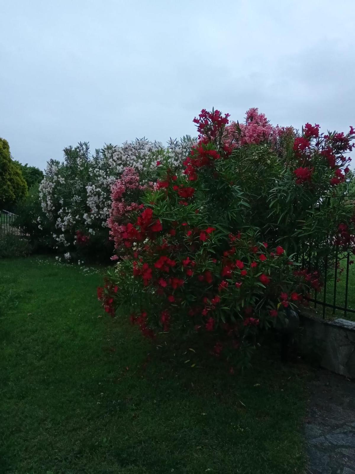 Villa Anna Leptokaria Zewnętrze zdjęcie